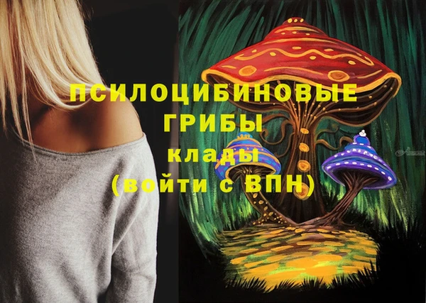 метадон Алзамай