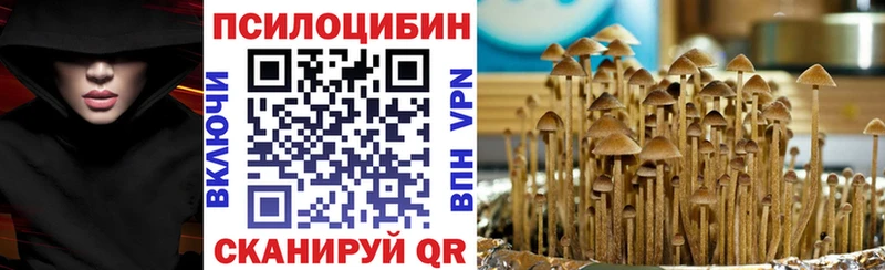 Псилоцибиновые грибы Magic Shrooms Ковров