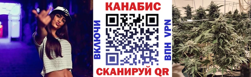 Бошки Шишки план  Ковров 